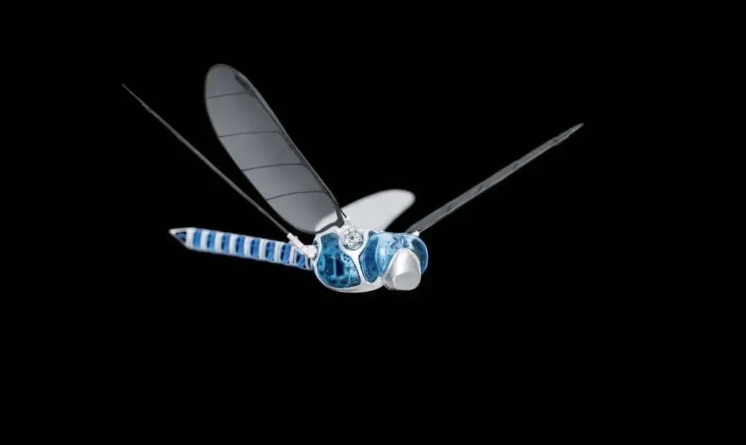 仿生蜻蜓机器人：从自然中获取灵感(图3)